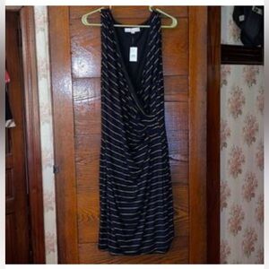 Ann Taylor Loft Womens Dress Size Large
